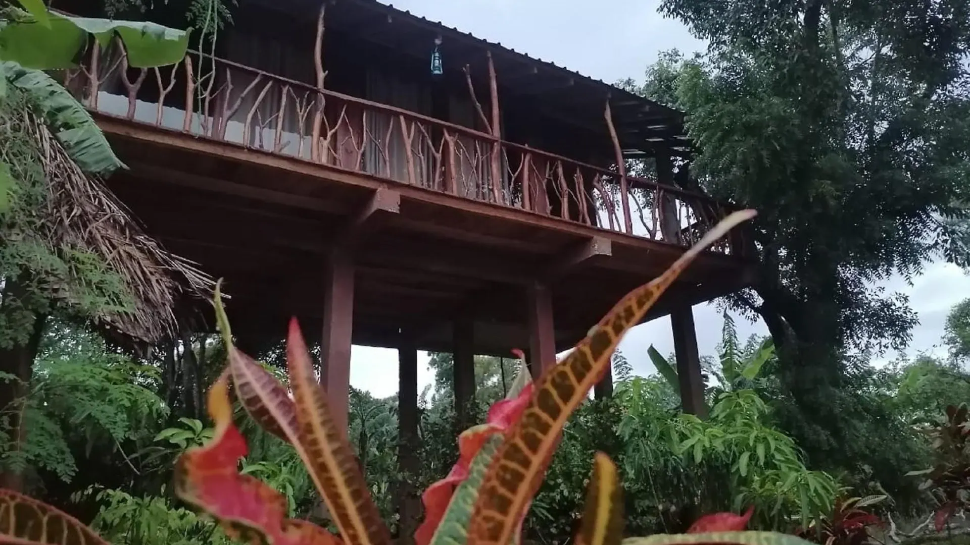 Sigiriya Rock View Tree House Villa Sri Lanka