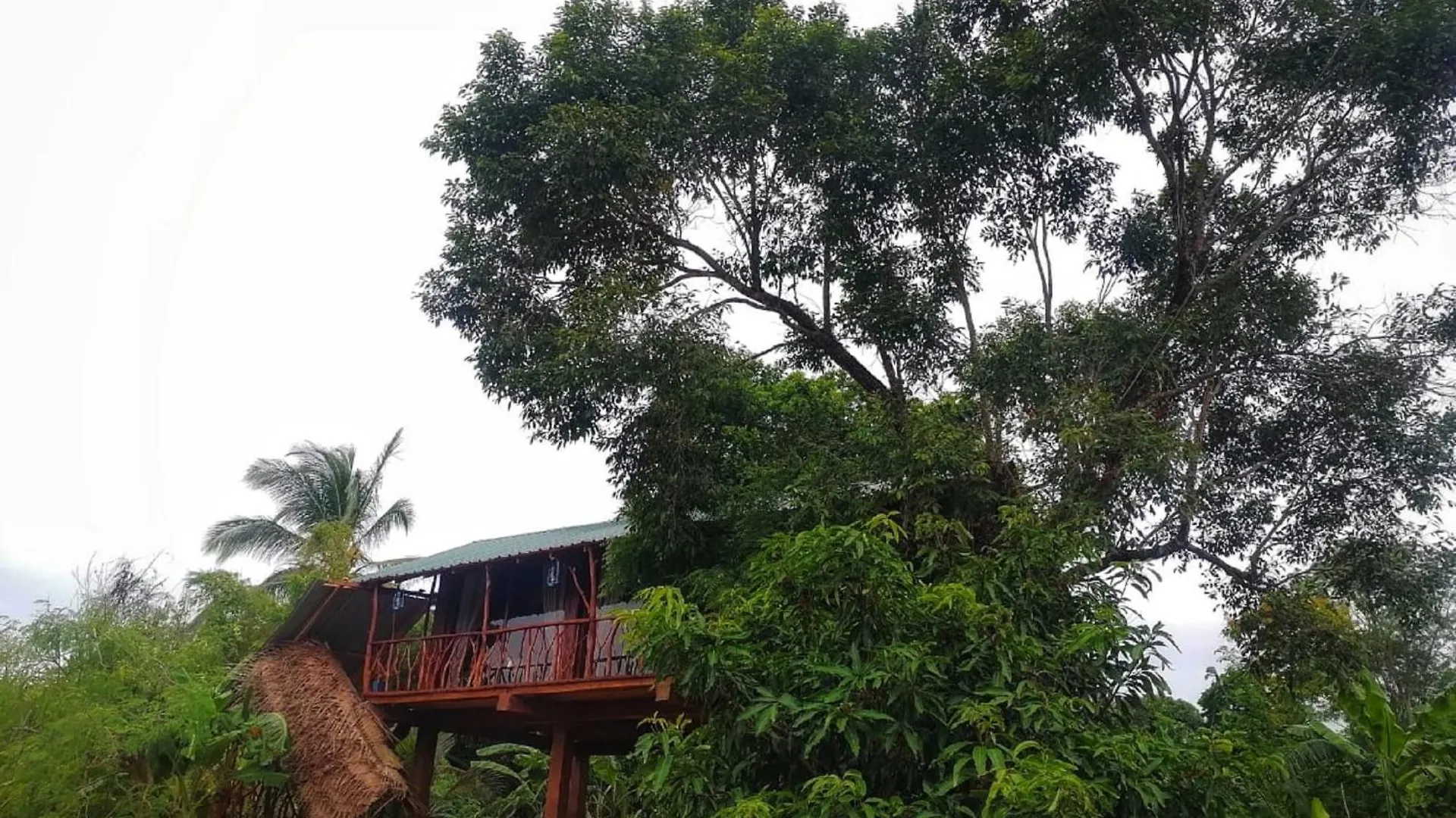 Sigiriya Rock View Tree House Villa 0*,  Sri Lanka