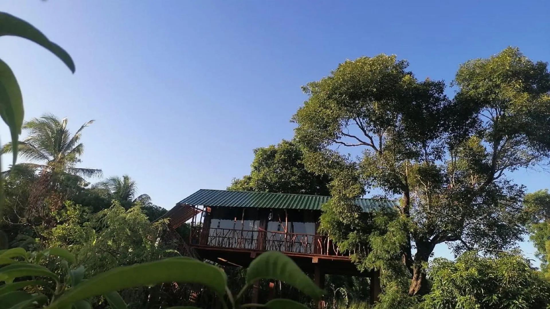 Lodge Sigiriya Rock View Tree House Villa Sri Lanka