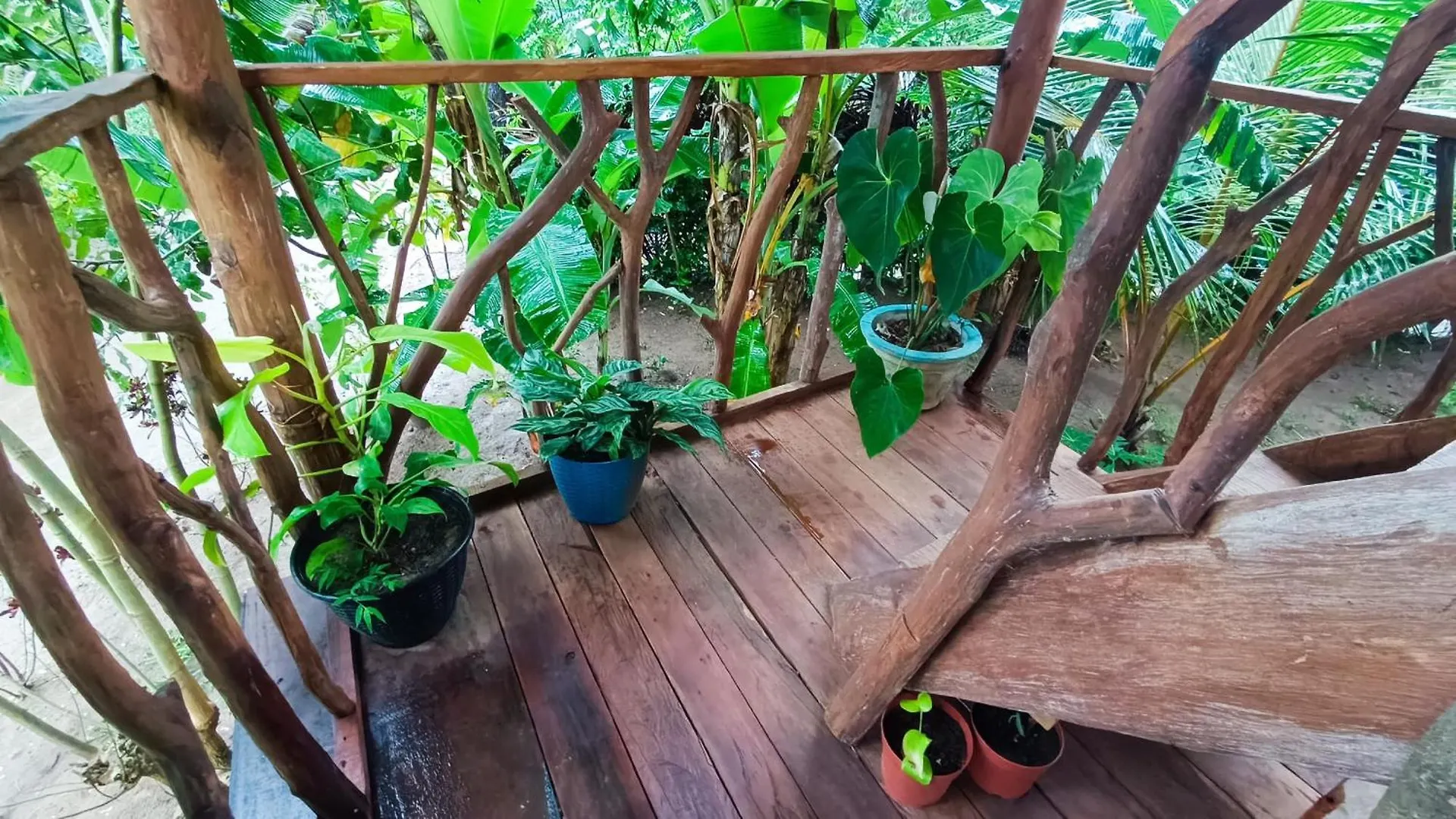 Sigiriya Rock View Tree House Villa Lodge