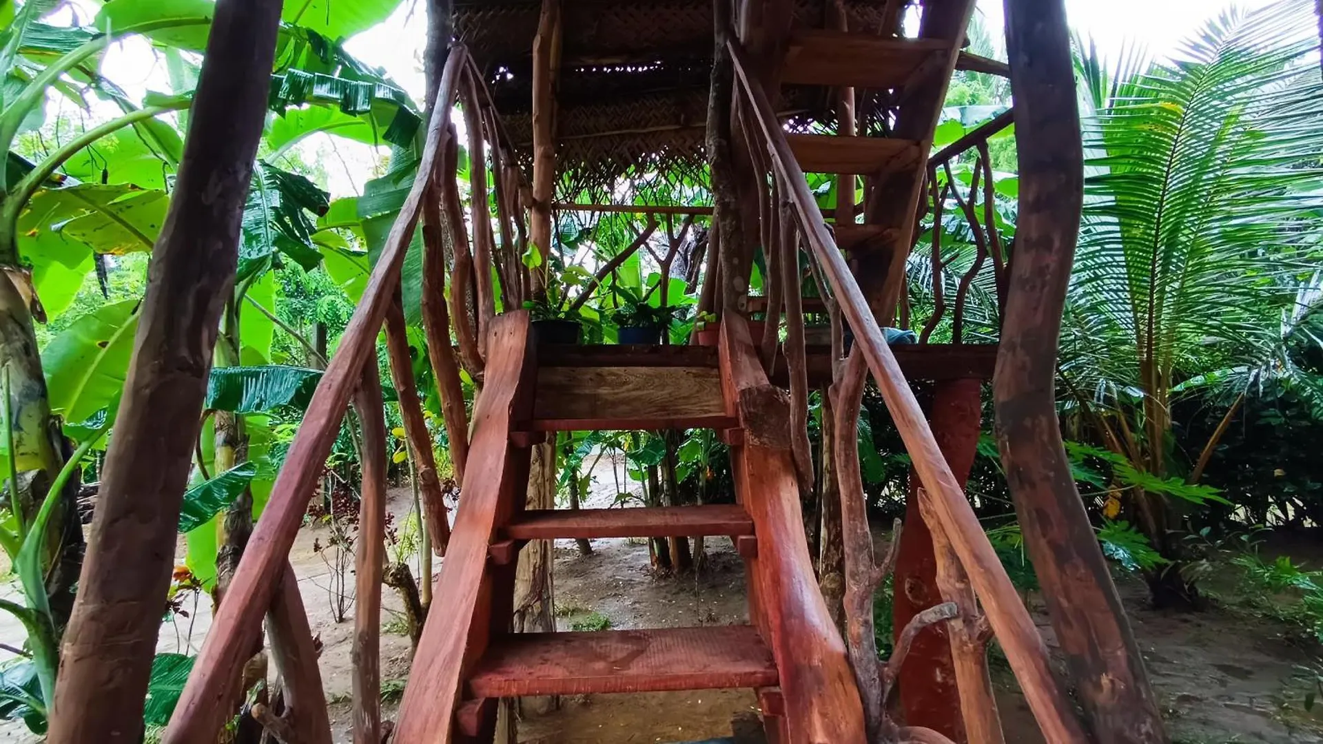 Sigiriya Rock View Tree House Villa