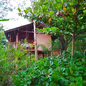 Accommodatie bij particulieren Akash Treehouse, Sigiriya
