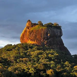 Accommodatie bij particulieren Mango, Sigiriya