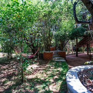 The Thick Forest Sigiriya