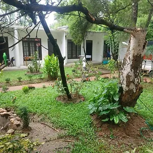 ホテル Nature Bird Paradise, シギリヤ