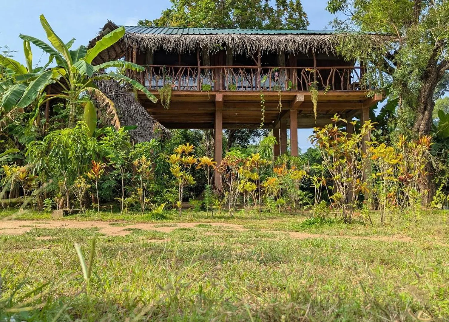 Sigiriya Rock View Tree House location